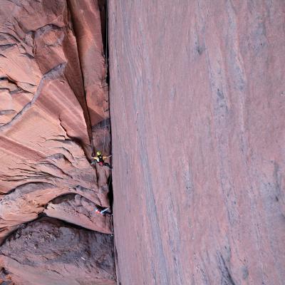 Desert Rats